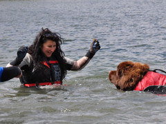 The day Norman decided to be a water dog