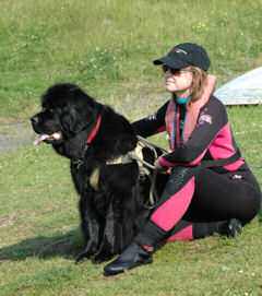 Watching and learning as another Newfoundland works